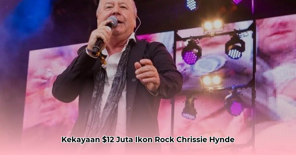 chrissie hynde net worth